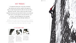 <strong>BD catalogue</strong></br>