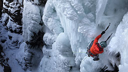 <strong>First Sister</strong></br>